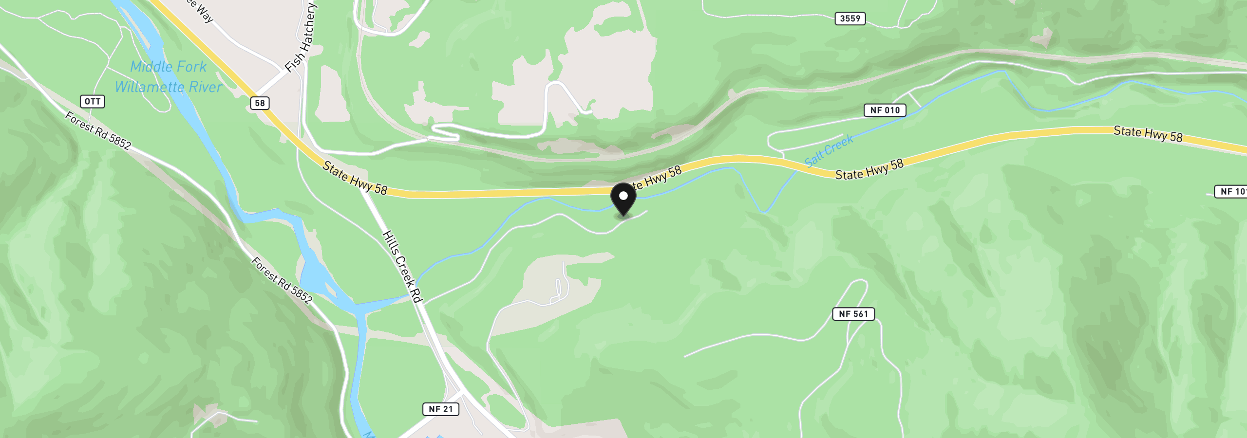 Map showing the location of 49091 Salt Creek Rd, Oakridge, OR 97463