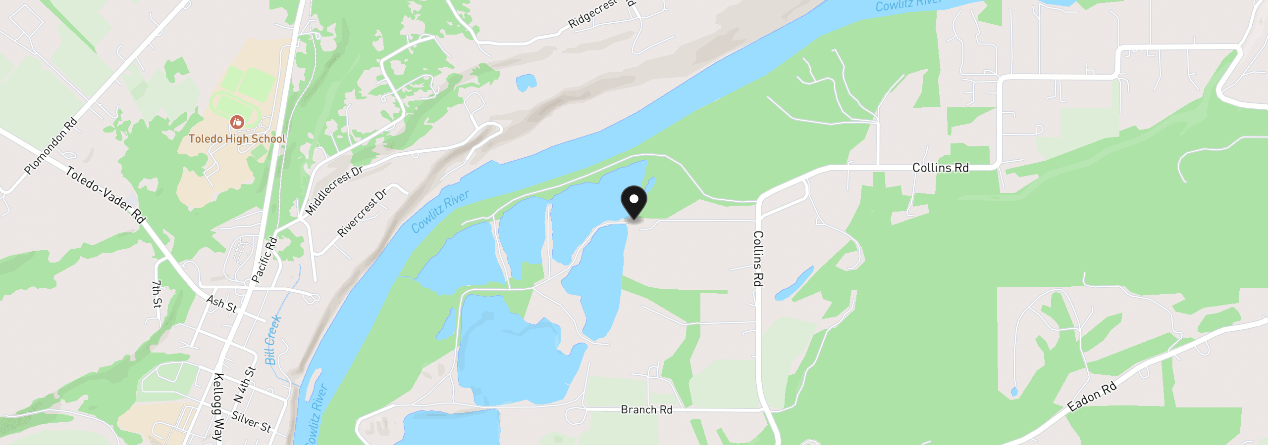 Map showing the location of 243 Collins Rd, Toledo, Wa 98591